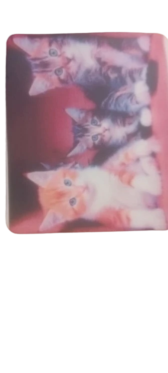 Tapis de souris personnalisé chat